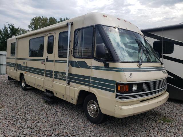 WINNEBAGO CHIEFTAIN 1991 with VIN 3FCMF53G7LJA03079 - Photo from auction