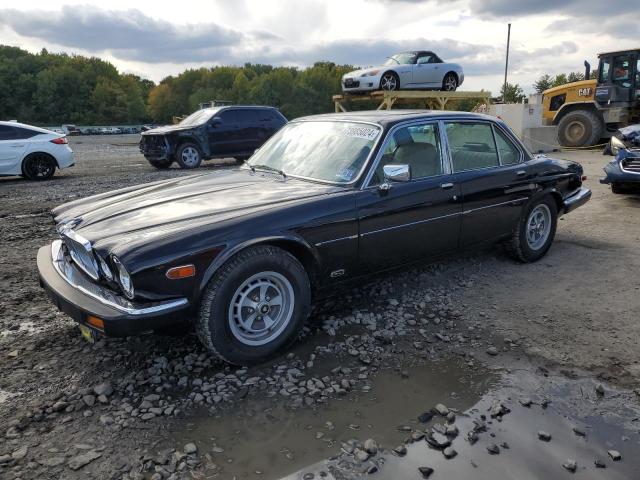 JAGUAR XJ6 1986 con VIN SAJAV1341GC458926 - Foto de la subasta