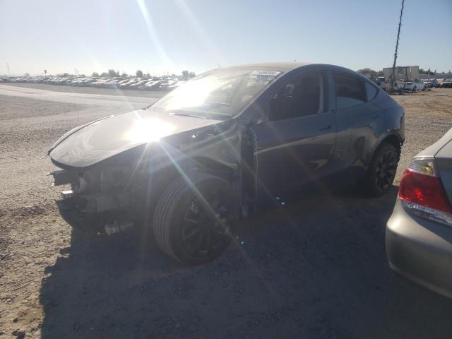 TESLA MODEL Y 2023 with VIN 7SAYGDEE0PF902527 - Photo from auction