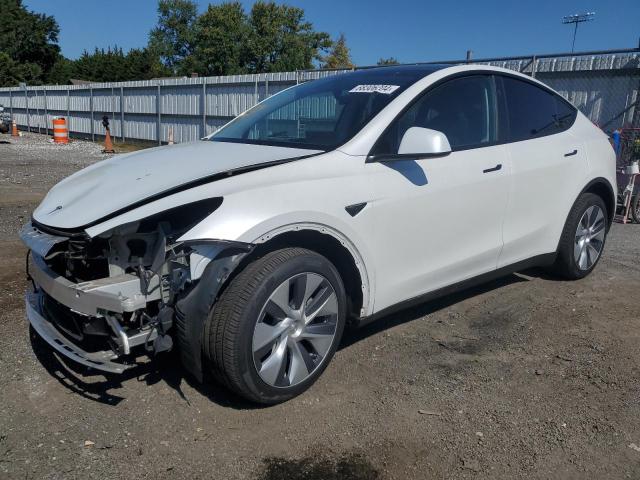 TESLA MODEL Y 2023 with VIN 7SAYGDEE4PA160369 - Photo from auction