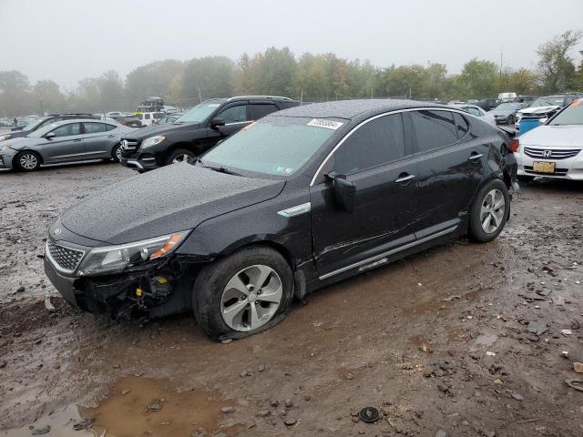 KIA OPTIMA HYB 2015 with VIN KNAGM4AD0F5082638 - Photo from auction