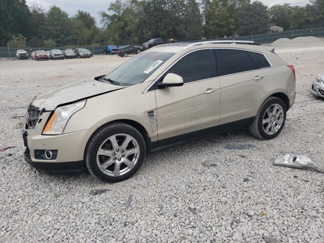 CADILLAC SRX PERFOR 2011 with VIN 3GYFNBEY6BS661401 - Photo from auction