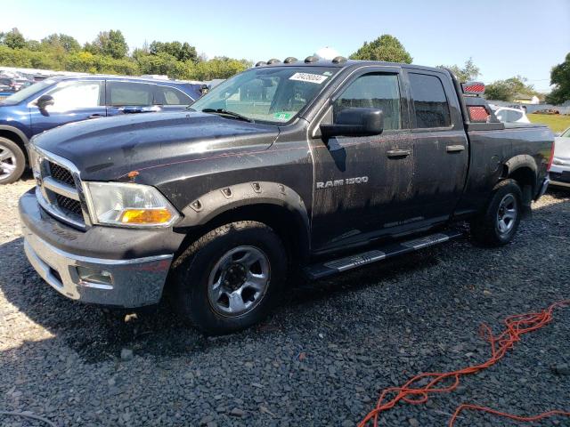 DODGE RAM 1500 2011 with VIN 1D7RV1GP1BS527981 - Photo from auction