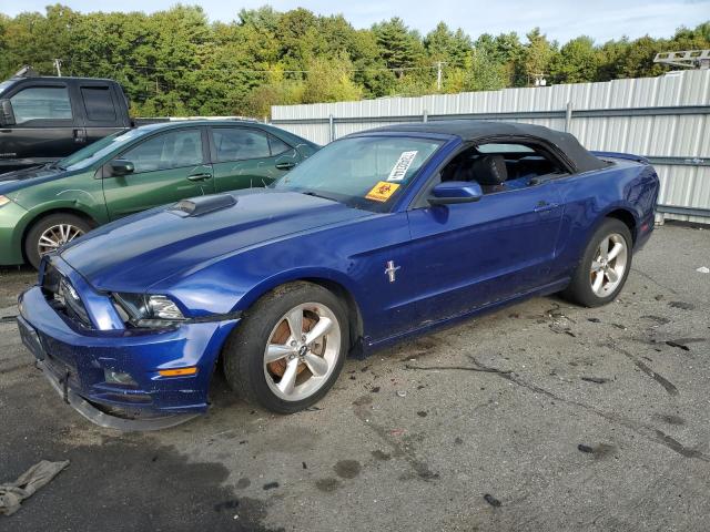 FORD MUSTANG 2013 with VIN 1ZVBP8EM8D5223035 - Photo from auction