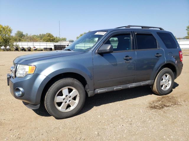 FORD ESCAPE XLT 2011 with VIN 1FMCU0D77BKA48350 - Photo from auction