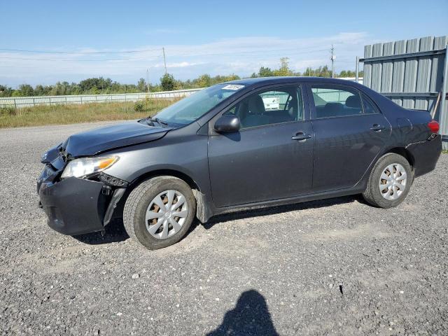 TOYOTA COROLLA BA 2011 with VIN 2T1BU4EE3BC705599 - Photo from auction