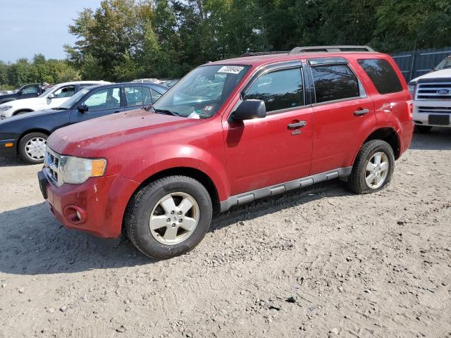 Zdjęcie 1 z aukcji – 2011 FORD ESCAPE XLT z VIN 1FMCU9D70BKB29517