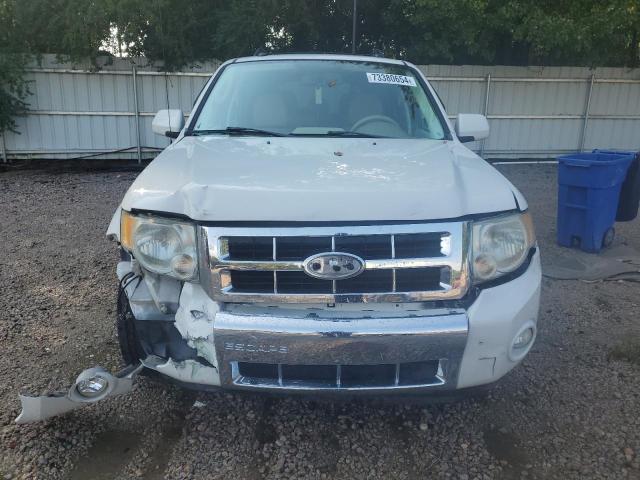 Photo 5 from auction – 2011 FORD ESCAPE LIM with VIN 1FMCU0EGXBKC02032