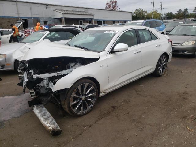 CADILLAC CT4 PREMIU 2023 with VIN 1G6DF5RLXP0158241 - Photo from auction