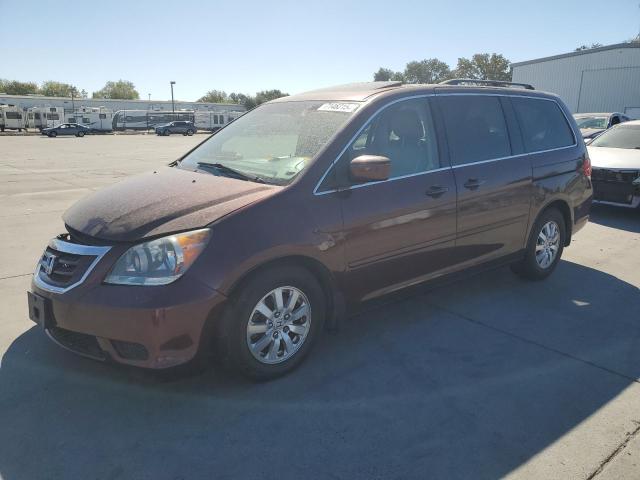 HONDA ODYSSEY EX 2009 with VIN 5FNRL38709B003920 - Photo from auction