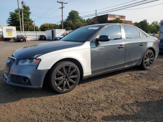 AUDI A4 PREMIUM 2010 with VIN WAUBFAFL0AN006316 - Photo from auction