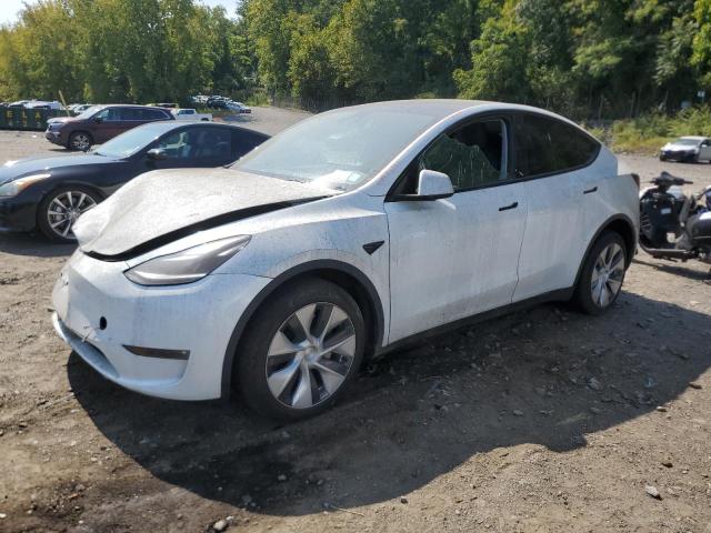 TESLA MODEL Y 2024 with VIN 7SAYGDEE7PF785495 - Photo from auction