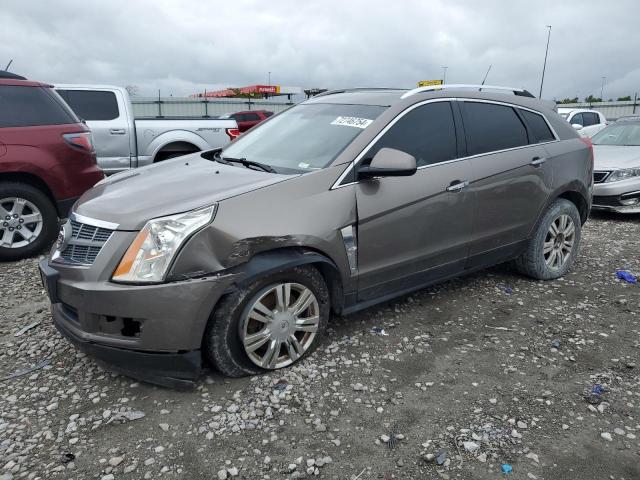 CADILLAC SRX LUXURY 2012 with VIN 3GYFNAE39CS545884 - Photo from auction