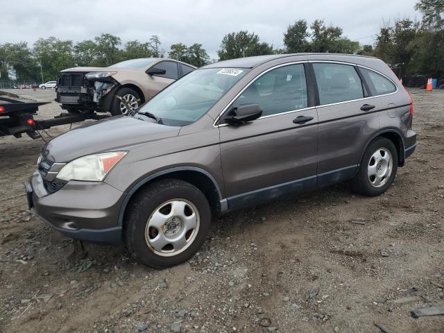 HONDA CR-V LX 2011 with VIN 5J6RE4H38BL046251 - Photo from auction