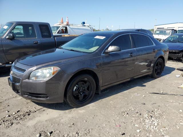 CHEVROLET MALIBU LS 2011 with VIN 1G1ZB5E12BF174869 - Photo from auction