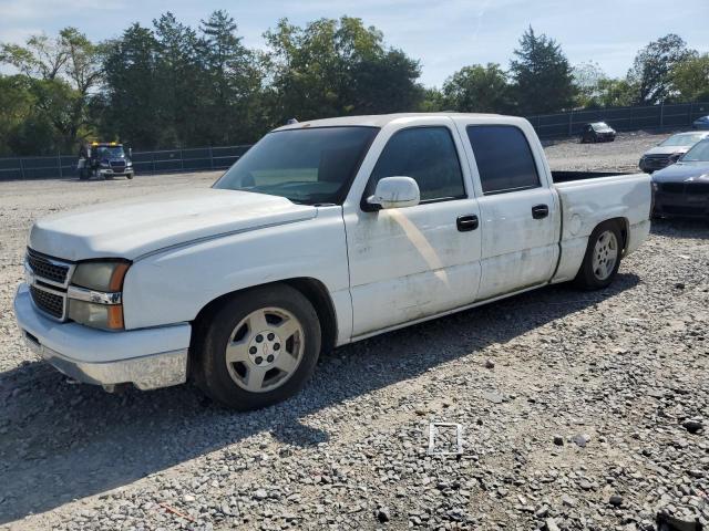 CHEVROLET SILVERADO 2005 with VIN 2GCEC13T151383239 - Photo from auction