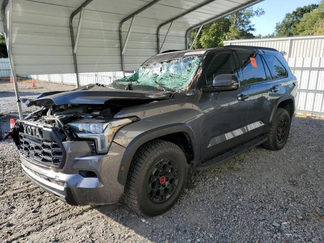 TOYOTA SEQUOIA SR 2023 with VIN 7SVAAABA2PX015412 - Photo from auction