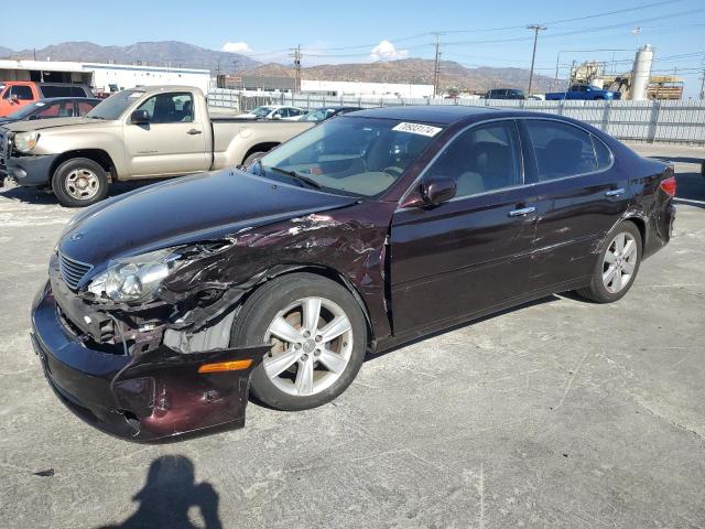 LEXUS ES 330 2005 с VIN JTHBA30G955122756 - Фото с аукциона