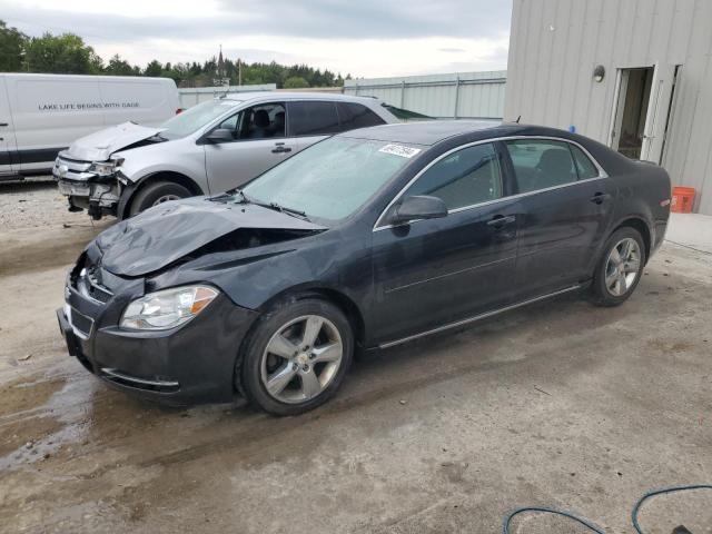 CHEVROLET MALIBU 1LT 2011 with VIN 1G1ZC5E13BF359610 - Photo from auction