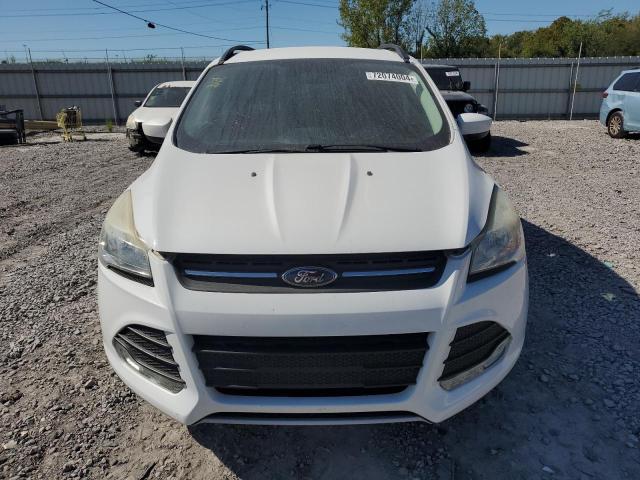 Photo 5 from auction – 2016 FORD ESCAPE SE with VIN 1FMCU0GX6GUB19805