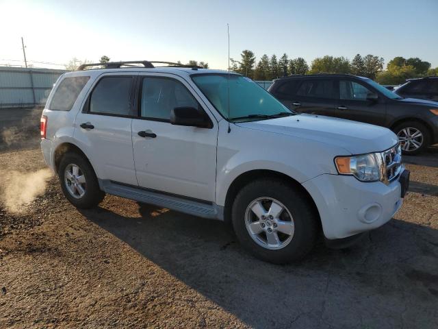 Photo 4 from auction – 2010 FORD ESCAPE XLT with VIN 1FMCU9DG0AKB21089