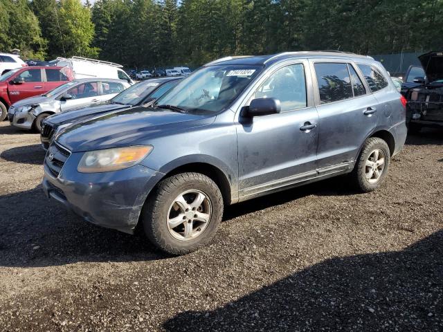HYUNDAI SANTA FE G 2007 with VIN 5NMSG13D77H091657 - Photo from auction