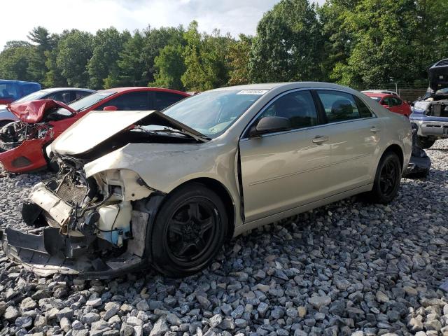 CHEVROLET MALIBU LS 2012 with VIN 1G1ZB5E08CF326484 - Photo from auction