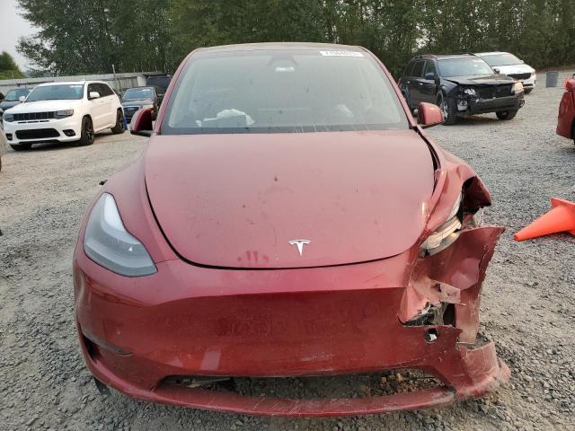 Photo 5 from auction – 2025 TESLA MODEL Y with VIN 7SAYGAEE7SF278264