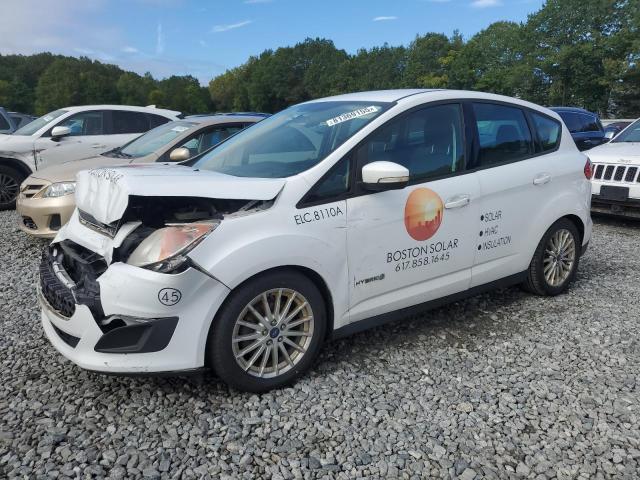 FORD C-MAX SE 2013 with VIN 1FADP5AU8DL501319 - Photo from auction