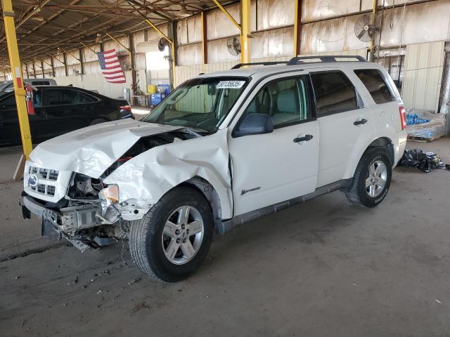 FORD ESCAPE HYB 2009 with VIN 1FMCU59319KA38569 - Photo from auction