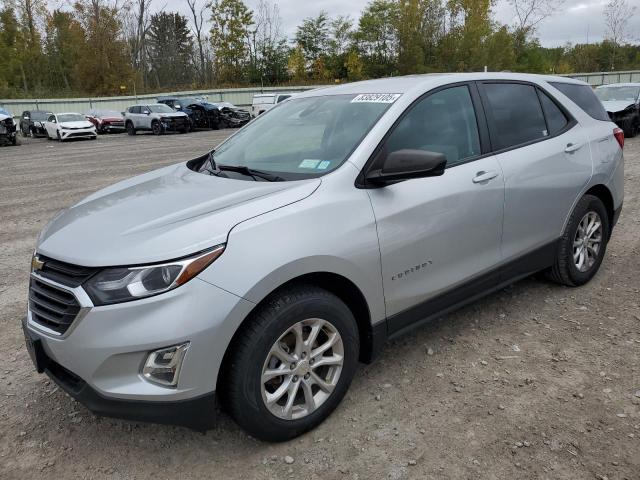 CHEVROLET EQUINOX LS 2021 with VIN 3GNAXHEV7MS109922 - Photo from auction