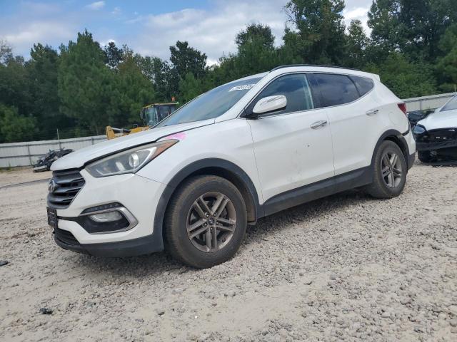 HYUNDAI SANTA FE S 2017 with VIN 5NMZU3LB3HH006235 - Photo from auction