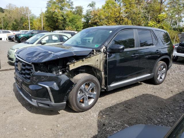 HONDA PILOT EXL 2024 with VIN 5FNYG1H54RB006371 - Photo from auction