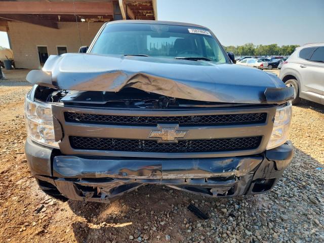 Photo 5 from auction – 2010 CHEVROLET SILVERADO with VIN 1GCSCPEX7AZ141790