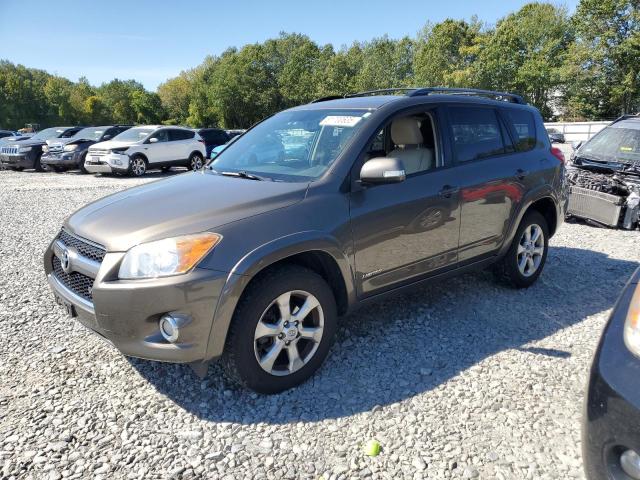TOYOTA RAV4 LIMIT 2010 with VIN 2T3DK4DV5AW031220 - Photo from auction