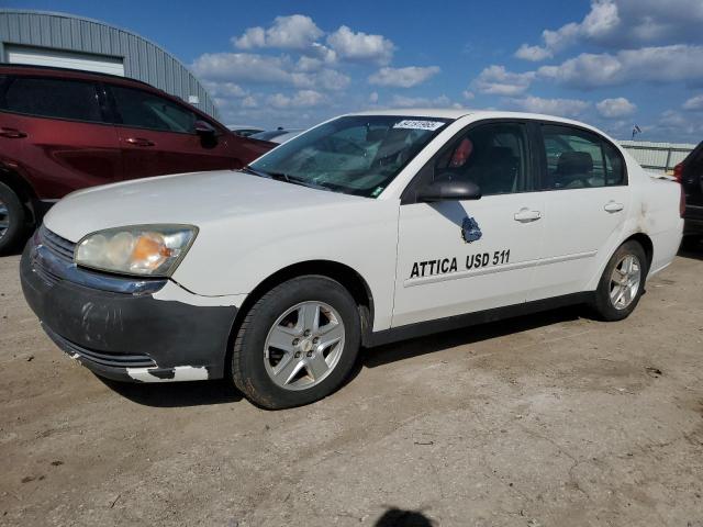 CHEVROLET MALIBU 2005 with VIN 1G1ZT54895F228149 - Photo from auction