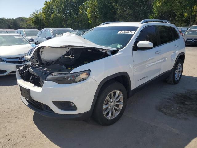JEEP CHEROKEE L 2019 with VIN 1C4PJMCB5KD334925 - Photo from auction