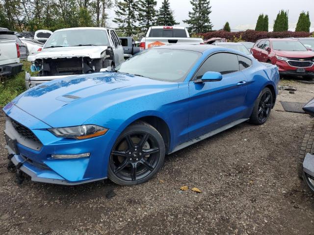 FORD MUSTANG 2019 with VIN 1FA6P8TH9K5155115 - Photo from auction