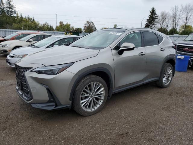 LEXUS NX 350H BASE 2024 with VIN 2T2GKCEZ9RC018853 - Photo from auction