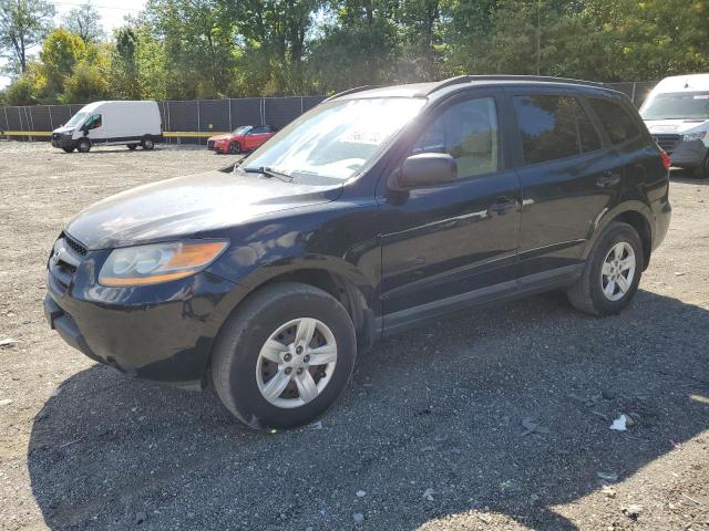 HYUNDAI SANTA FE G 2009 with VIN 5NMSG13D39H330107 - Photo from auction