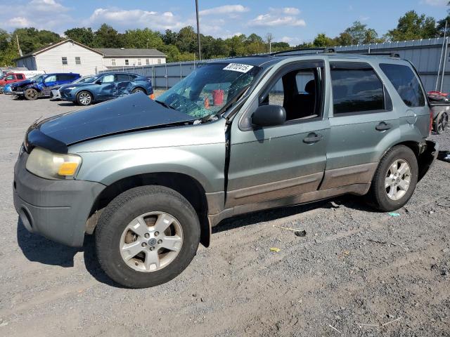 FORD ESCAPE XLT 2007 with VIN 1FMYU93147KB33905 - Photo from auction