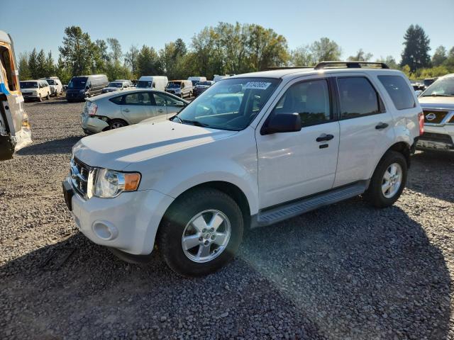 FORD ESCAPE XLT 2011 with VIN 1FMCU0D77BKA44671 - Photo from auction