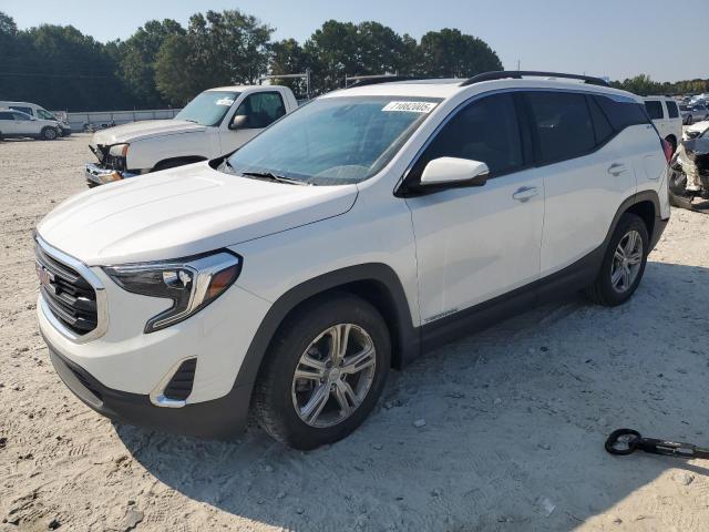 GMC TERRAIN SL 2020 with VIN 3GKALMEV3LL160134 - Photo from auction