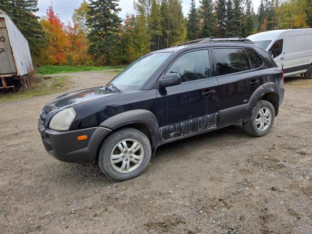 HYUNDAI TUCSON GL 2007 with VIN KM8JM12D57U594033 - Photo from auction