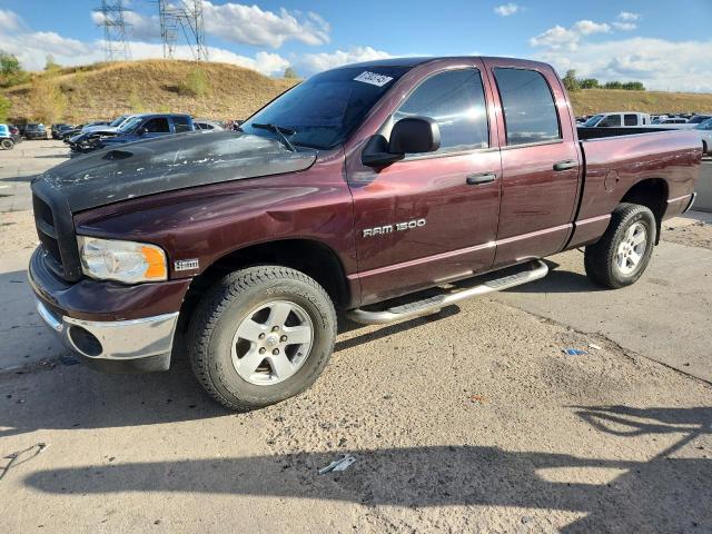 DODGE RAM 1500 S 2004 with VIN 1D7HU18D94S786790 - Photo from auction