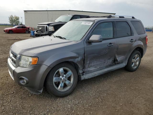 FORD ESCAPE LIM 2010 with VIN 1FMCU9EG5AKD13560 - Photo from auction