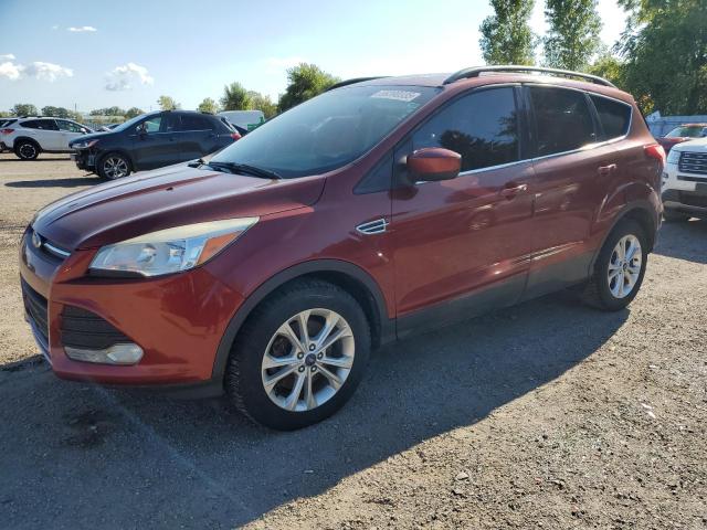 FORD ESCAPE SE 2014 with VIN 1FMCU0G91EUD03421 - Photo from auction