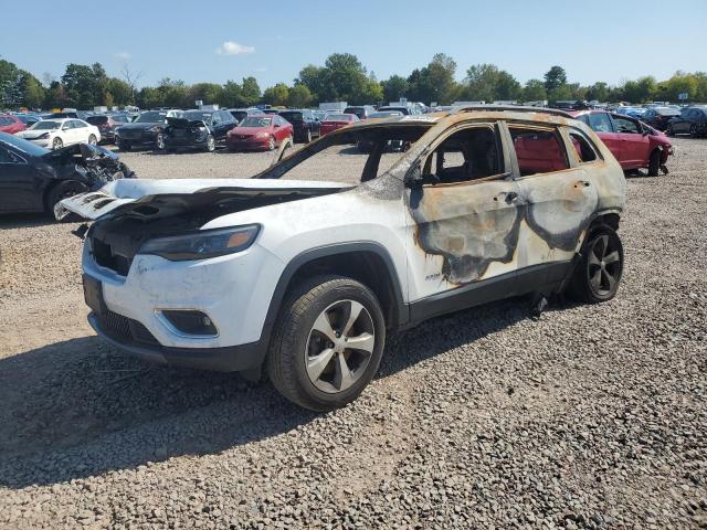 JEEP CHEROKEE L 2019 with VIN 1C4PJMDX1KD368225 - Photo from auction