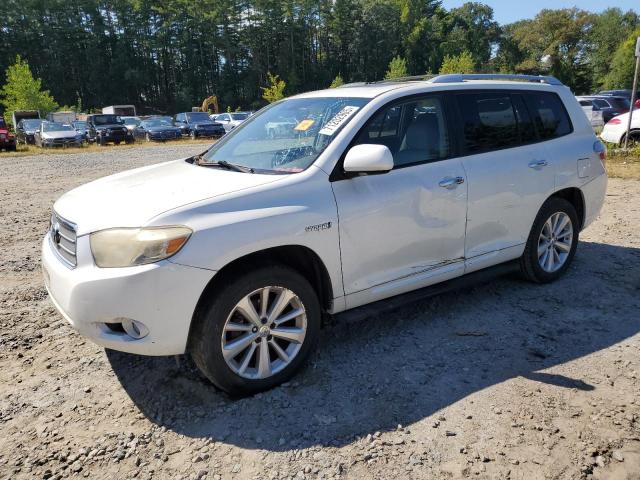 TOYOTA HIGHLANDER 2008 with VIN JTEEW44A182020462 - Photo from auction