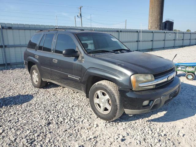 Photo 4 from auction – 2003 CHEVROLET TRAILBLAZER with VIN 1GNDS13S232230637